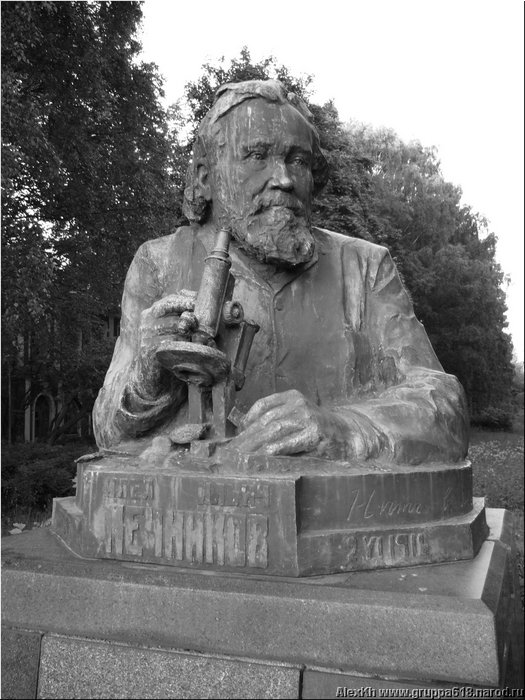 Mechnikov02.JPG