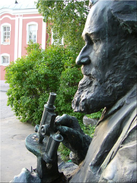 Mechnikov07.JPG